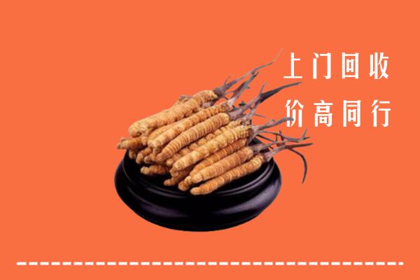 高价求购：呼伦贝尔扎兰屯回收散虫草