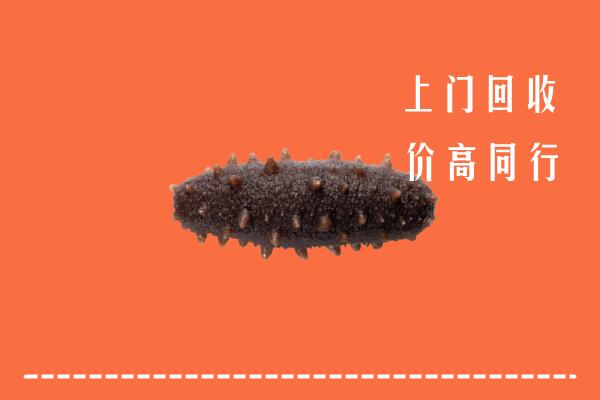 高价求购：呼伦贝尔扎兰屯回收海参