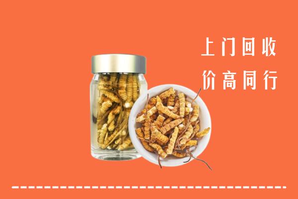 呼伦贝尔扎兰屯回收冬虫夏草